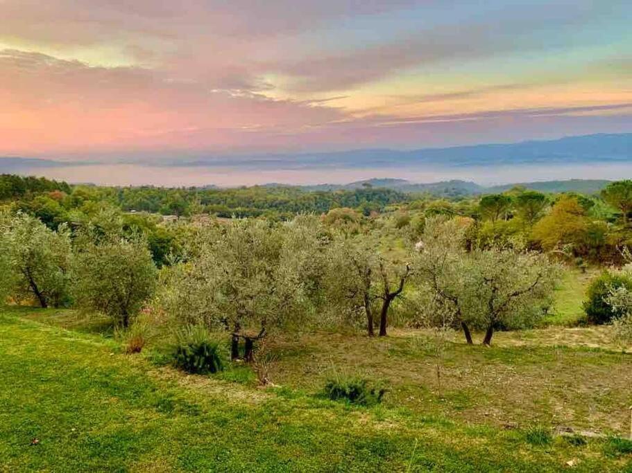 Vesper - Casale Con Piscina - Ad Galli Cantum Città della Pieve Eksteriør bilde