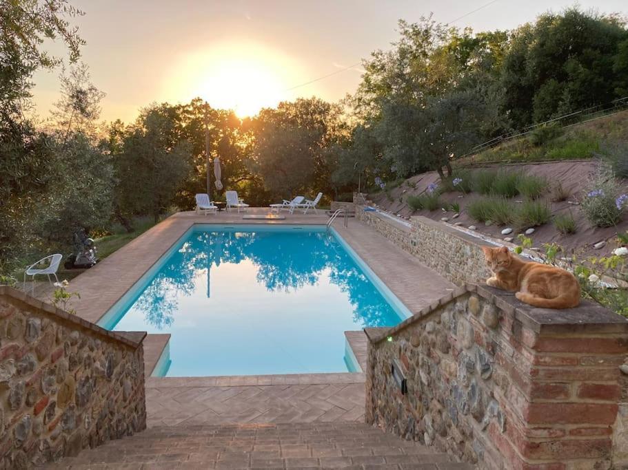 Vesper - Casale Con Piscina - Ad Galli Cantum Città della Pieve Eksteriør bilde