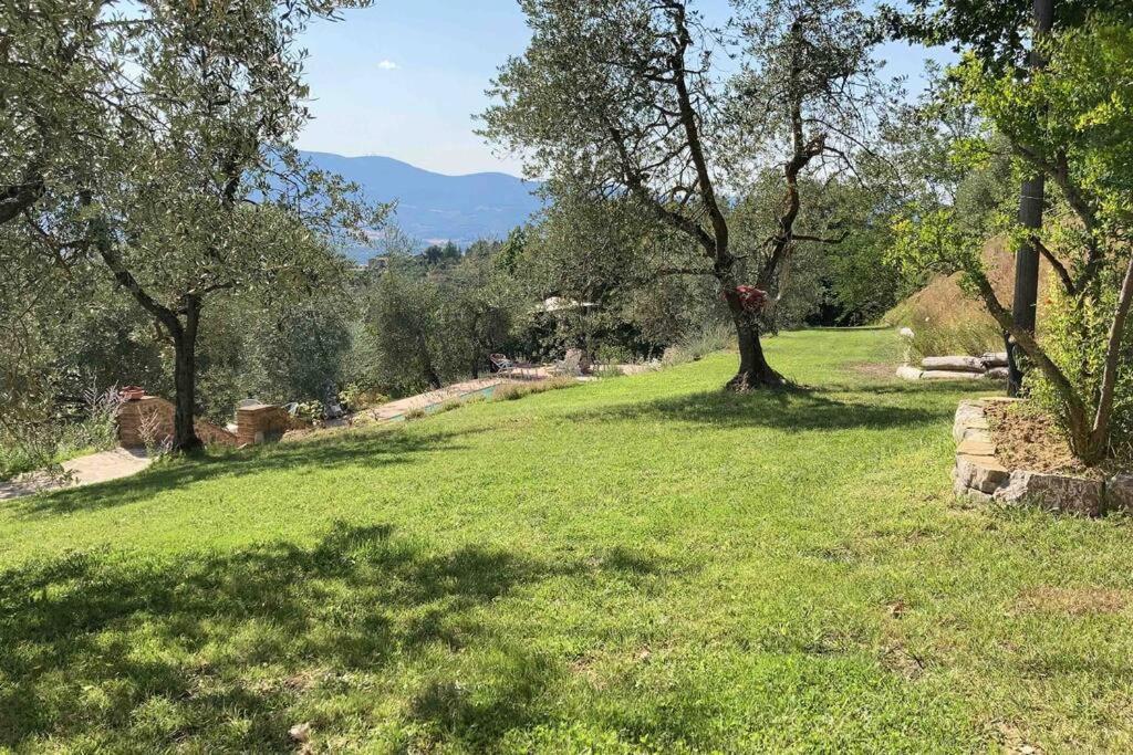 Vesper - Casale Con Piscina - Ad Galli Cantum Città della Pieve Eksteriør bilde