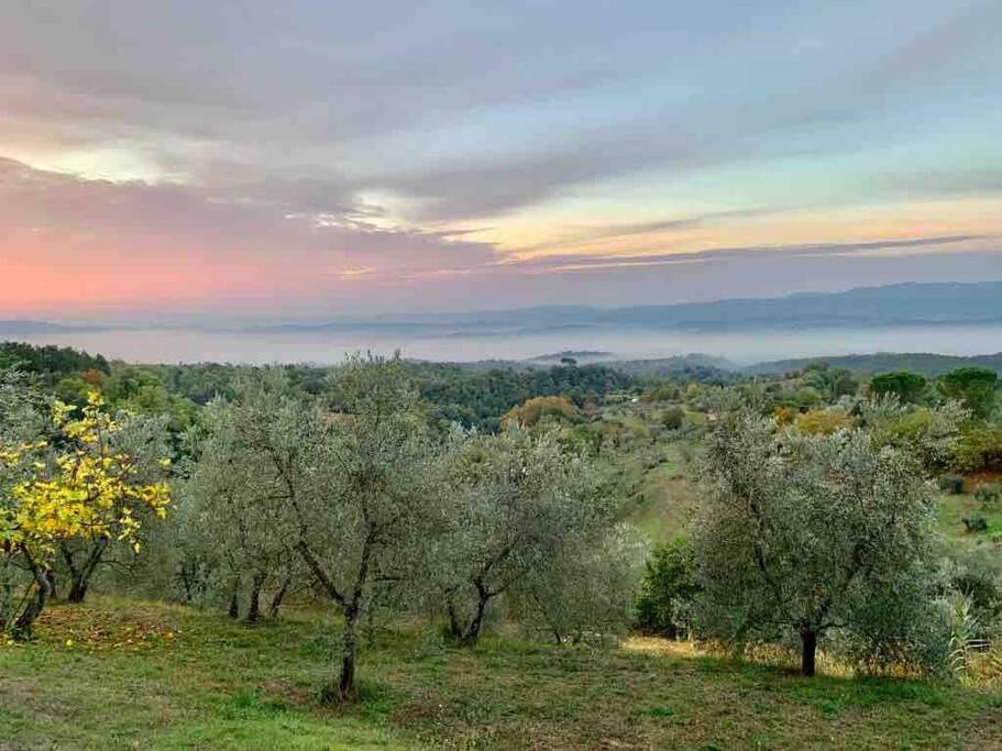 Vesper - Casale Con Piscina - Ad Galli Cantum Città della Pieve Eksteriør bilde