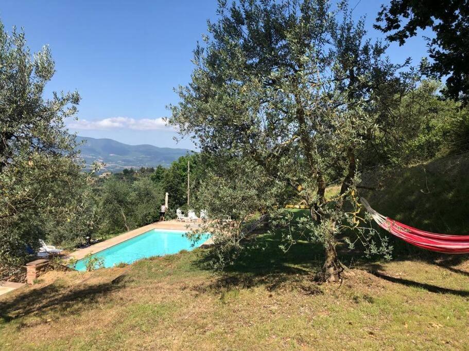 Vesper - Casale Con Piscina - Ad Galli Cantum Città della Pieve Eksteriør bilde